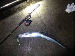 淡路島・翼港にてタチウオ　目の前でのHIT…